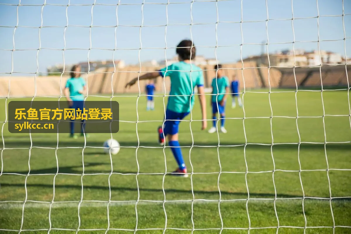乐鱼官方网站登录异常现象对照示意
